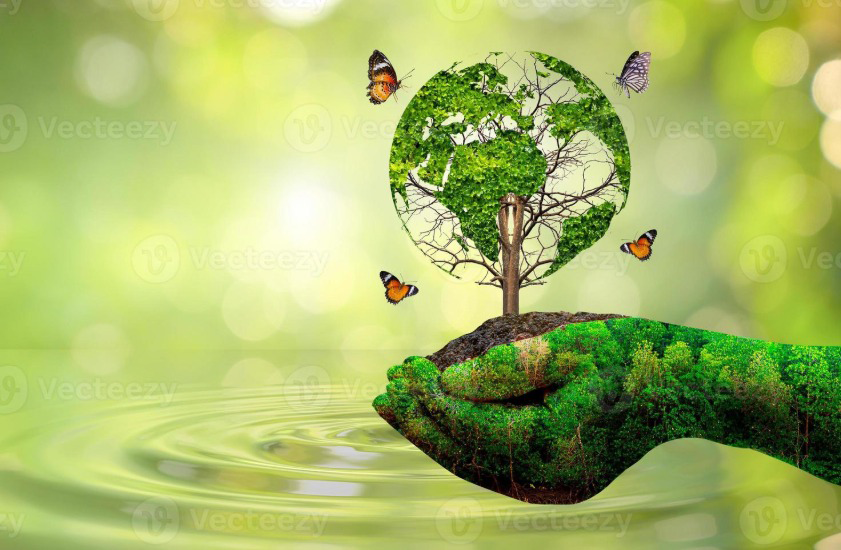 Environmental Solutions